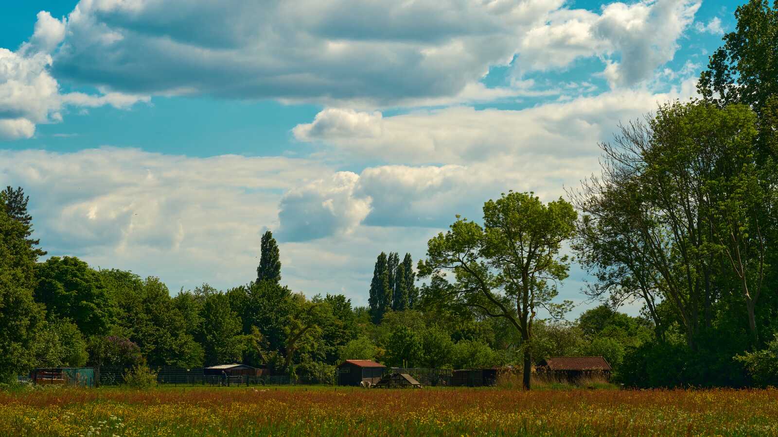 Lush green trees and tall grasses fill the foreground. Scattered buildings and a tall, thin tree dot the landscape beneath a bright blue sky with fluffy white clouds.