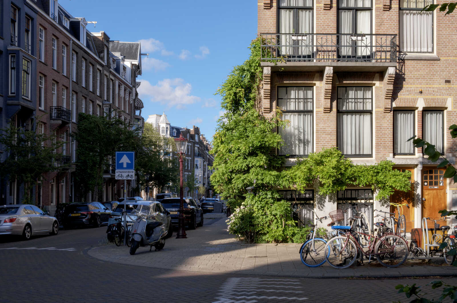A tree climbs up a red brick building on a sunny street. Cars, scooters, and several bicycles line the cobblestone road. A street sign is visible to the left.