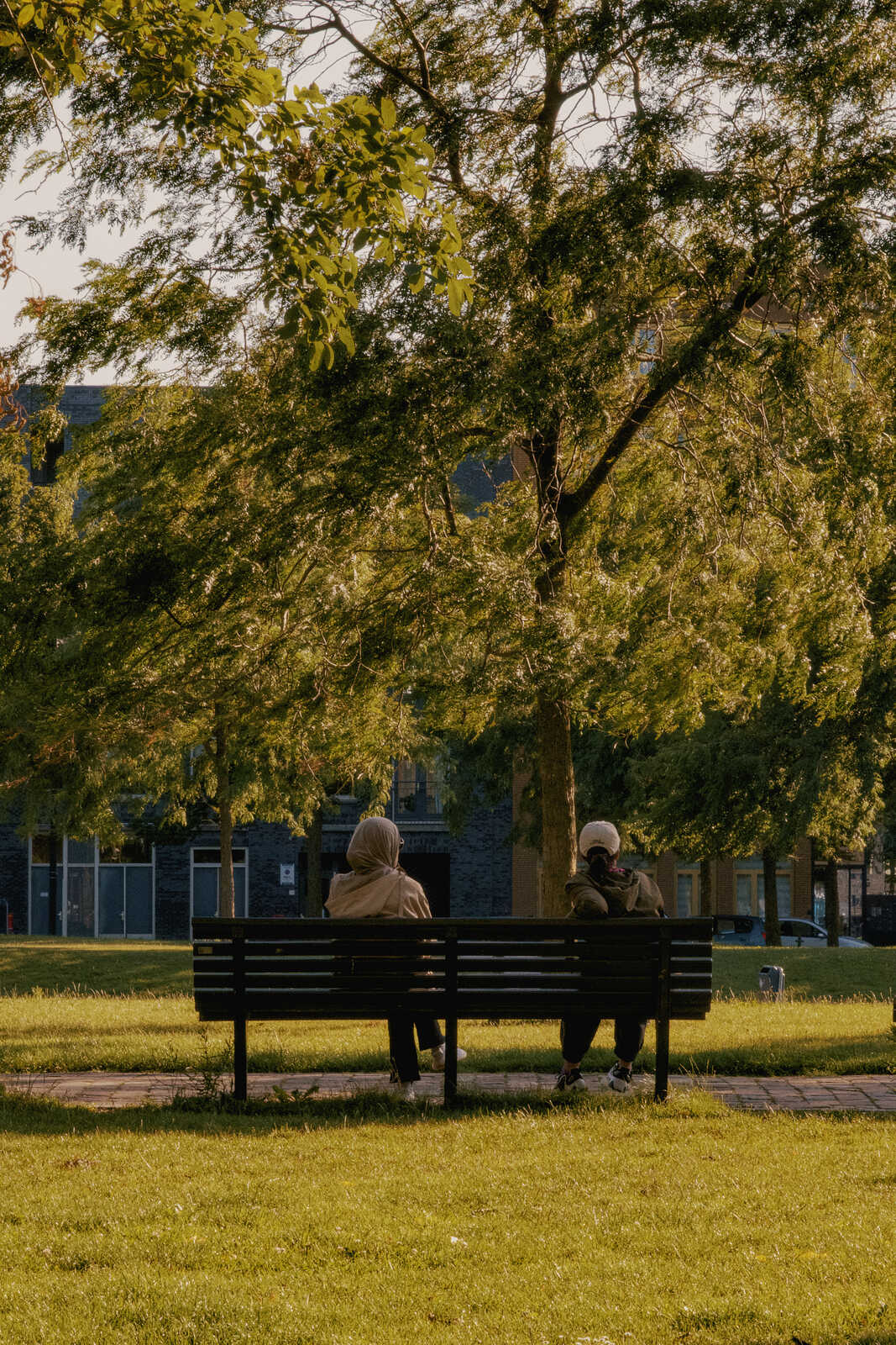 Two figures sit on a dark wooden bench beneath a large, leafy tree on a grassy area. A building with gray facade is in the background. The sky is visible above the tree. Footwear is visible.