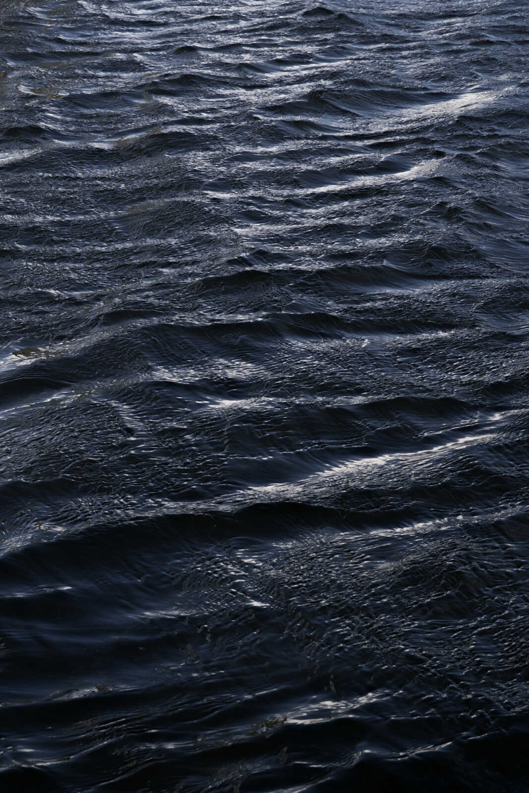 Dark blue water with numerous small, overlapping ripples and a shimmering, textured surface. Light reflections create a pattern of highlights.
