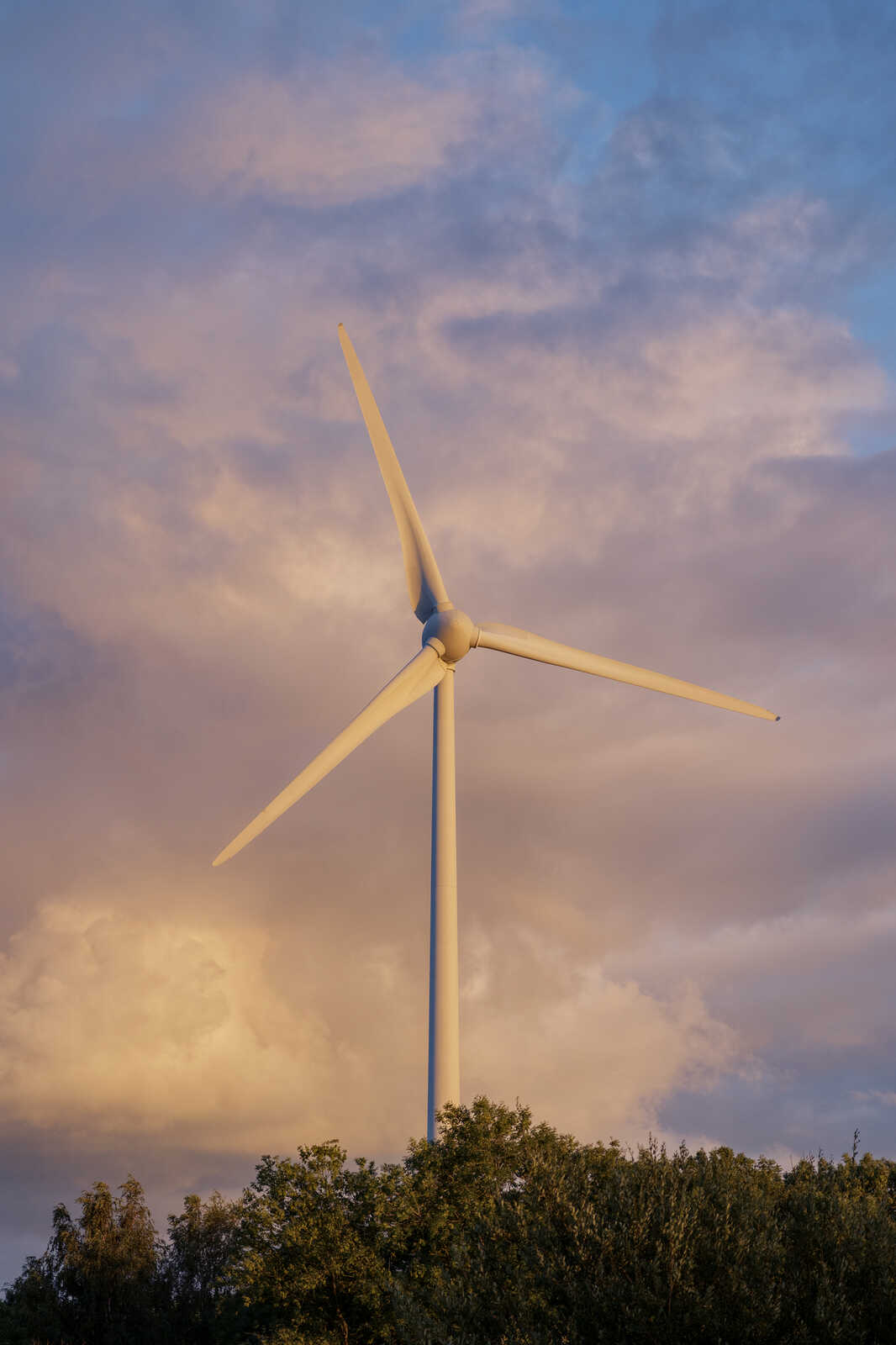 A white wind turbine stands tall against a vibrant sunset sky filled with orange and purple clouds. Green foliage is visible at the base of the turbine.