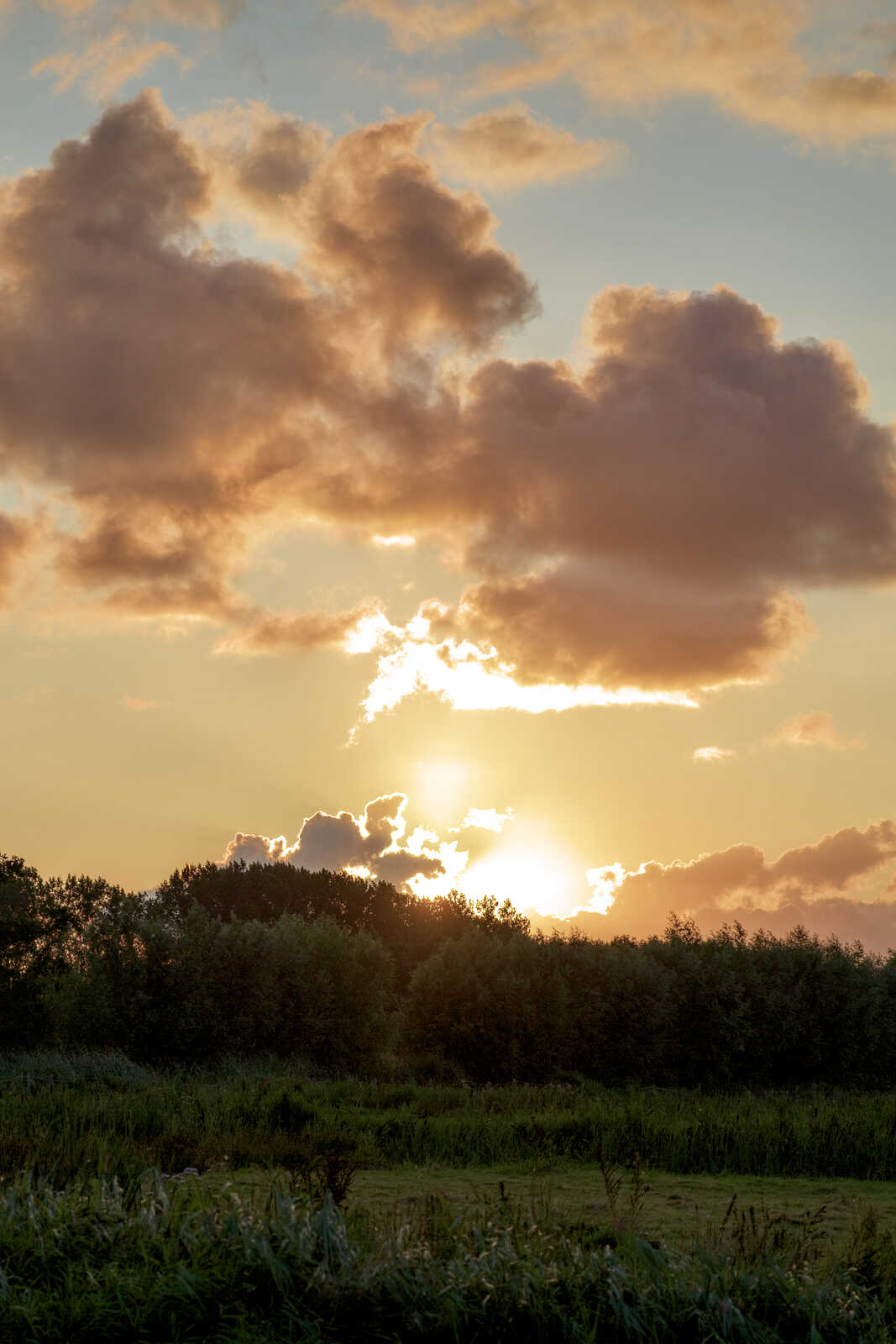 Golden sunset over a field and trees. Clouds obscure parts of the sun, casting a warm glow across the landscape. Green grass and foliage are visible in the foreground.