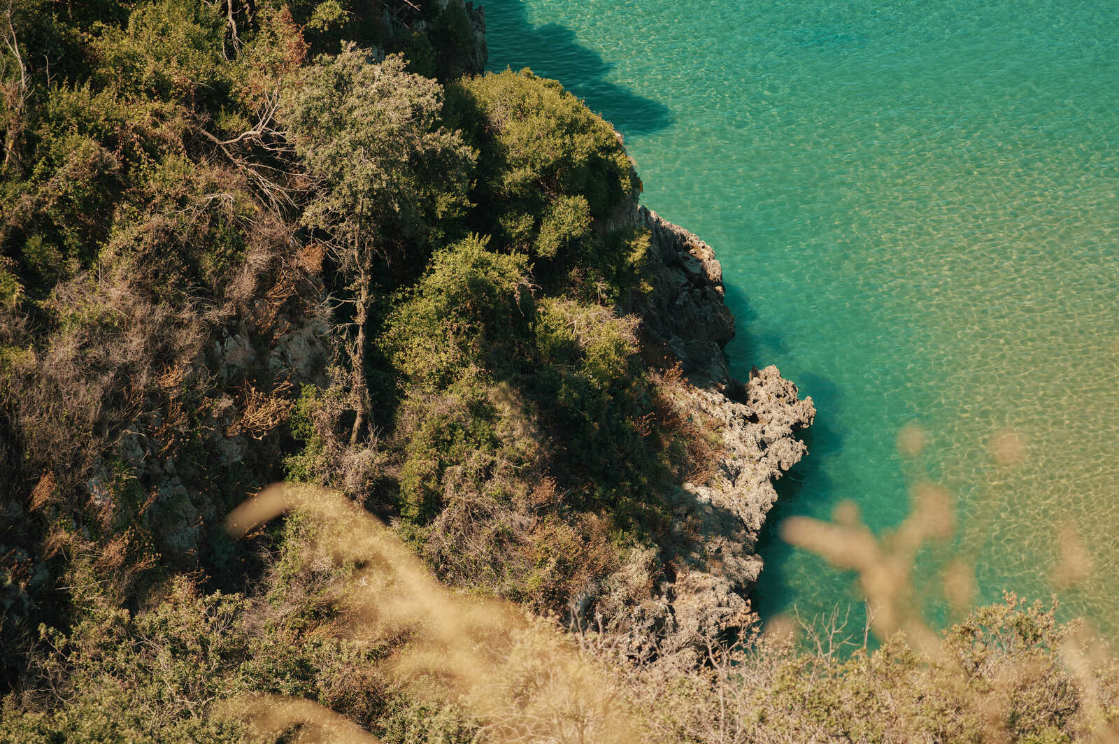 A rocky coastline meets clear, turquoise water. Dense green vegetation and dry grass cover the upper left. A cliff edge extends into the bright sea. The scene is lit by sunlight.