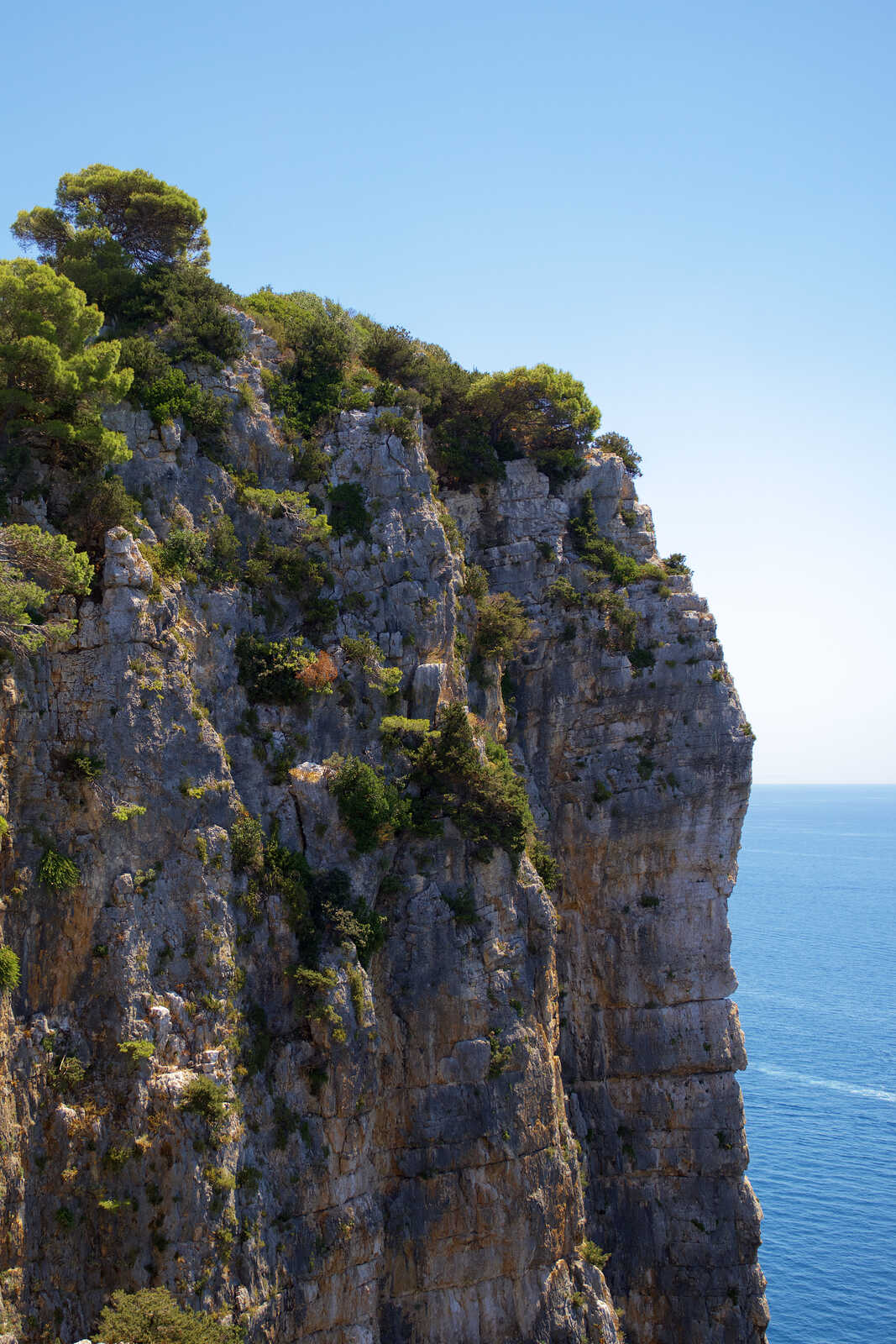 A rocky cliff face rises sharply from the blue sea. The top edge has sparse vegetation and trees. A small pathway leads along the cliffs edge. Blue sky above.