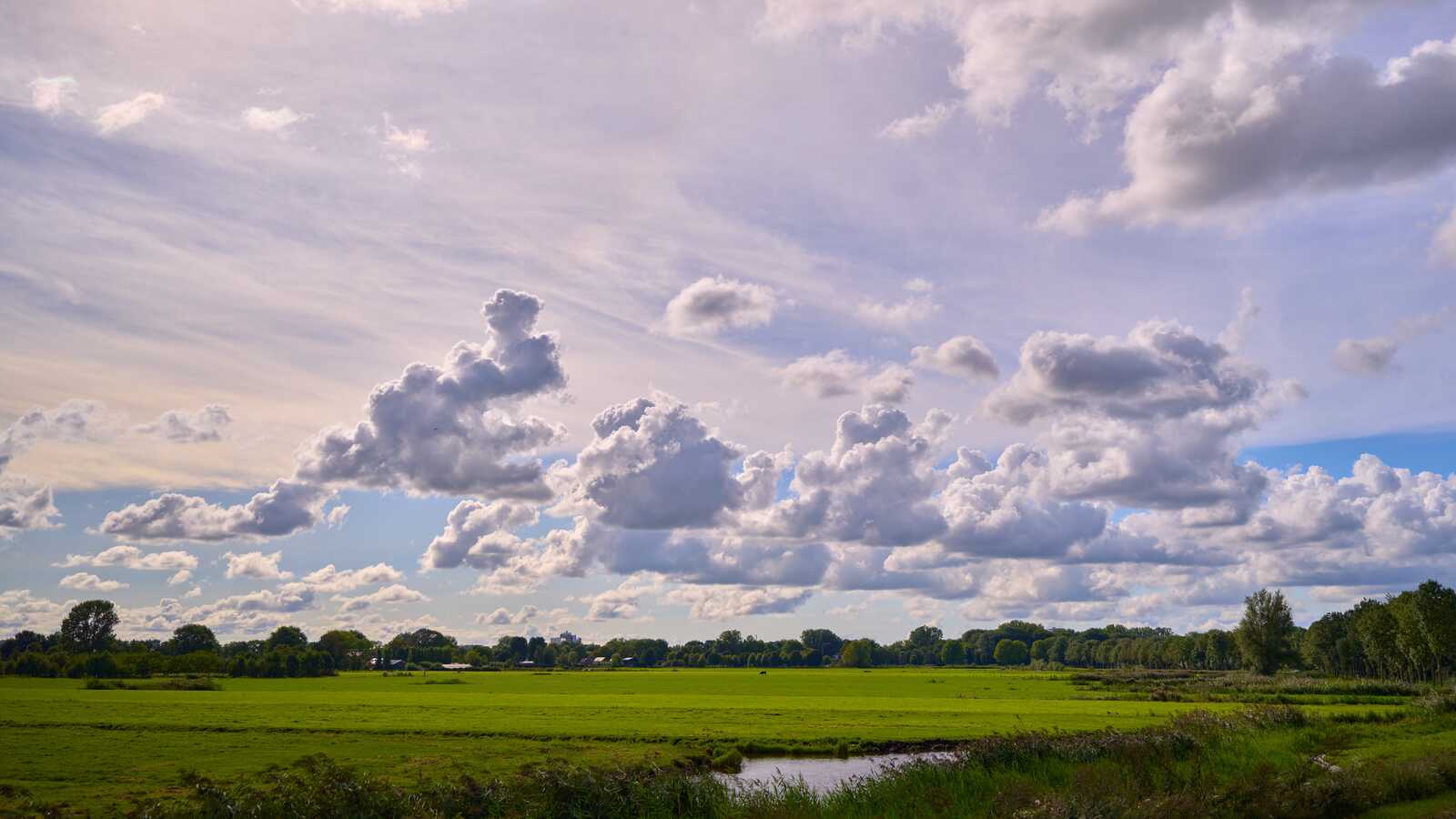 Green field and marshland with scattered trees under a bright sky filled with fluffy white clouds. A waterway runs along the right side of the scene.