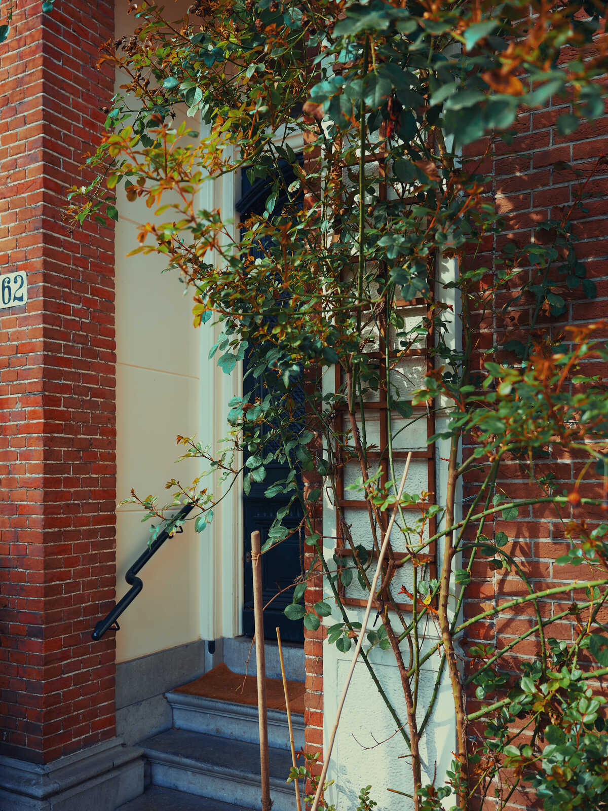 A brick building with a black door and steps. A thin metal handrail extends down the steps. Green foliage partially obscures the door and a window above it. The building number 62 is visible.