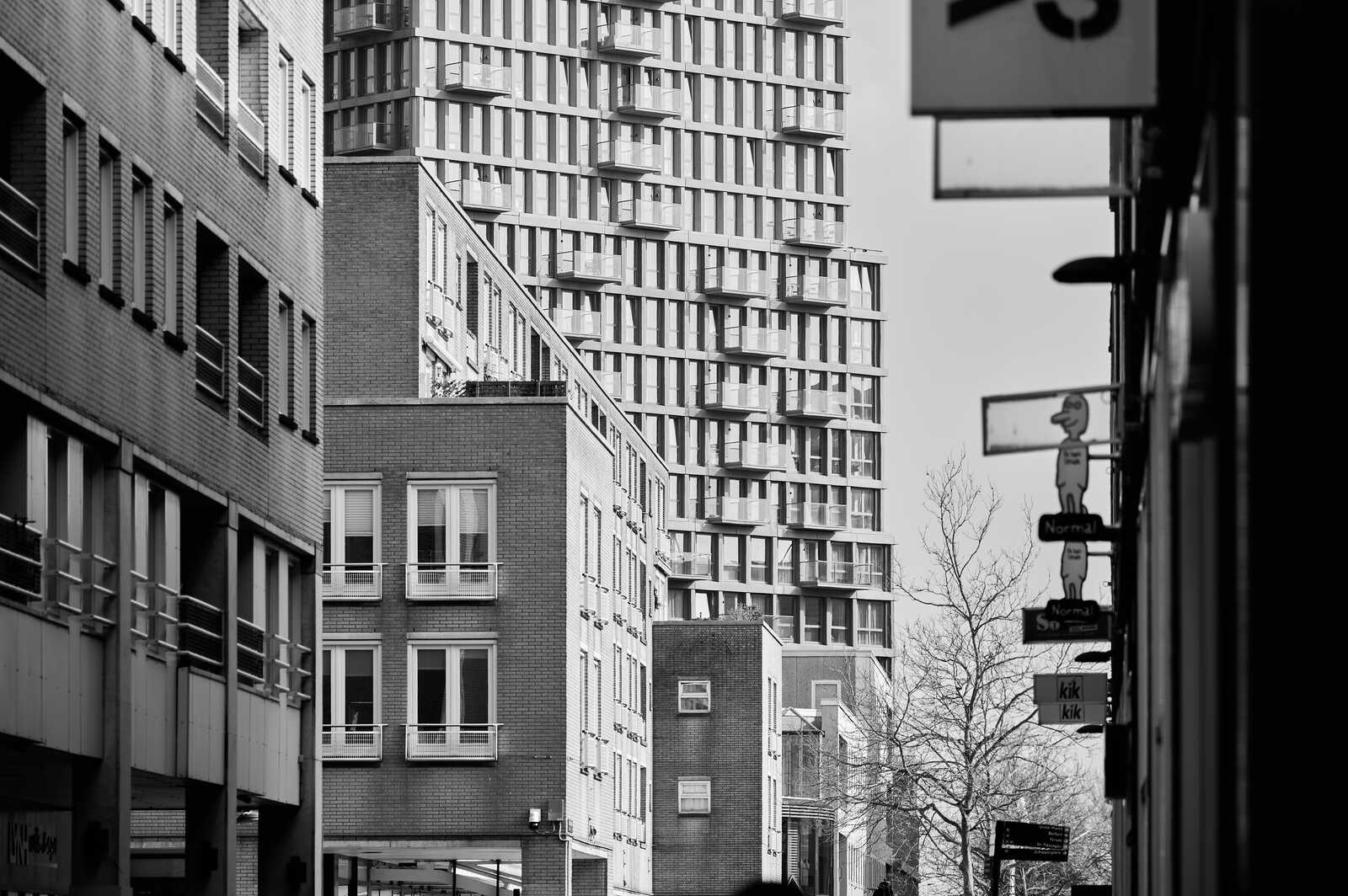 Black and white photo shows a tall building, a shorter brick building, a leafless tree, and street signs. The sky is overcast.