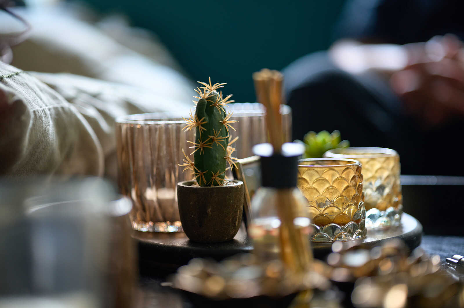A small cactus in a clay pot sits on a black tray alongside glass containers and gold-toned objects. A portion of a person is visible in the background.