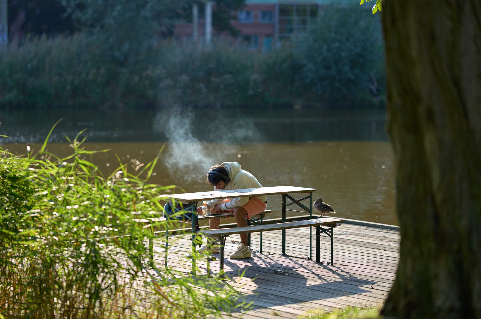 A person sits at a wooden picnic table near a body of water, with a steaming cup in hand. A bird perches on the tables edge. Lush greenery surrounds the scene.