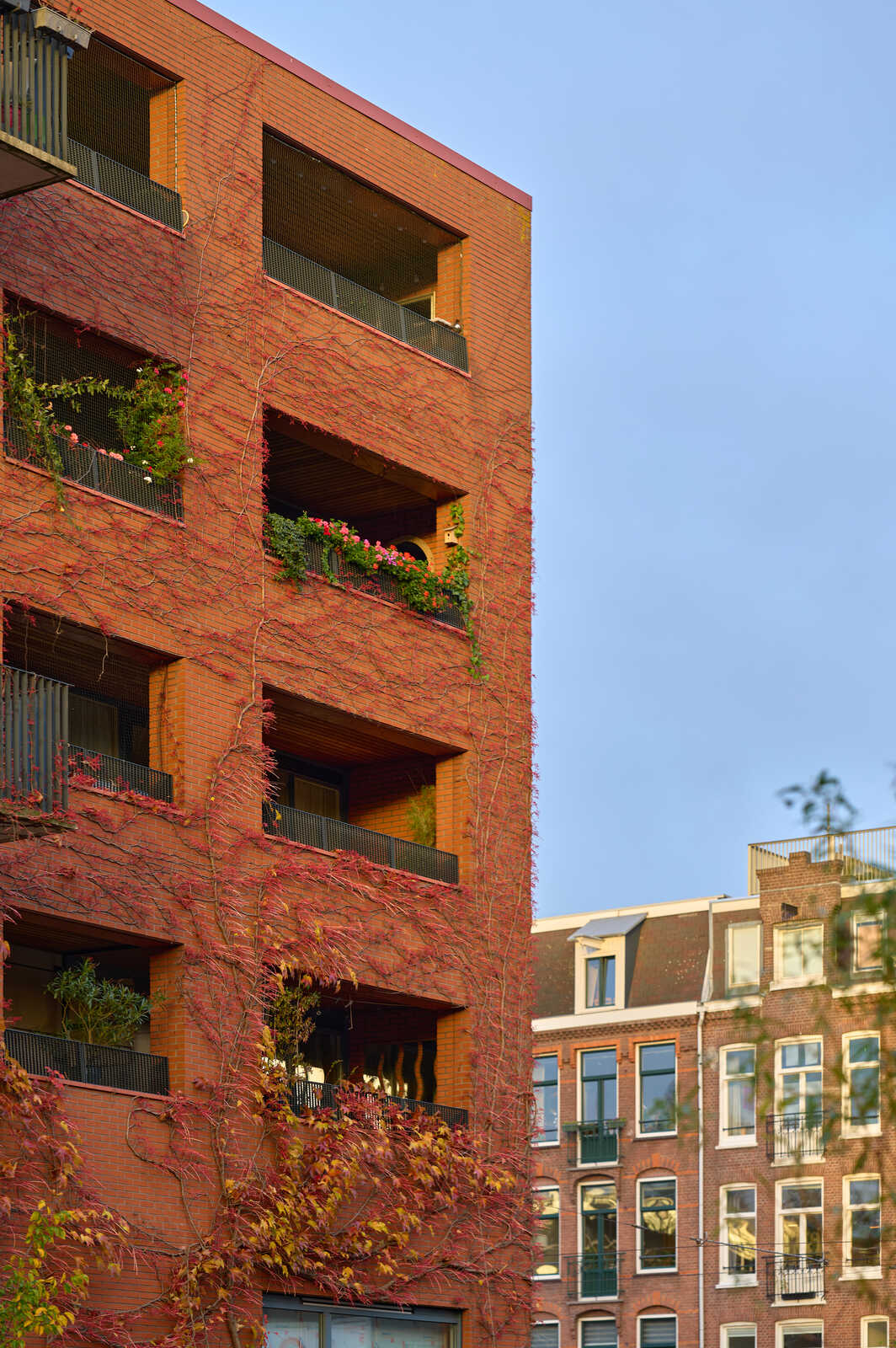A red brick building with ivy climbing its facade. Several balconies feature flower boxes. A taller, older building is visible in the background. The sky is clear and blue.
