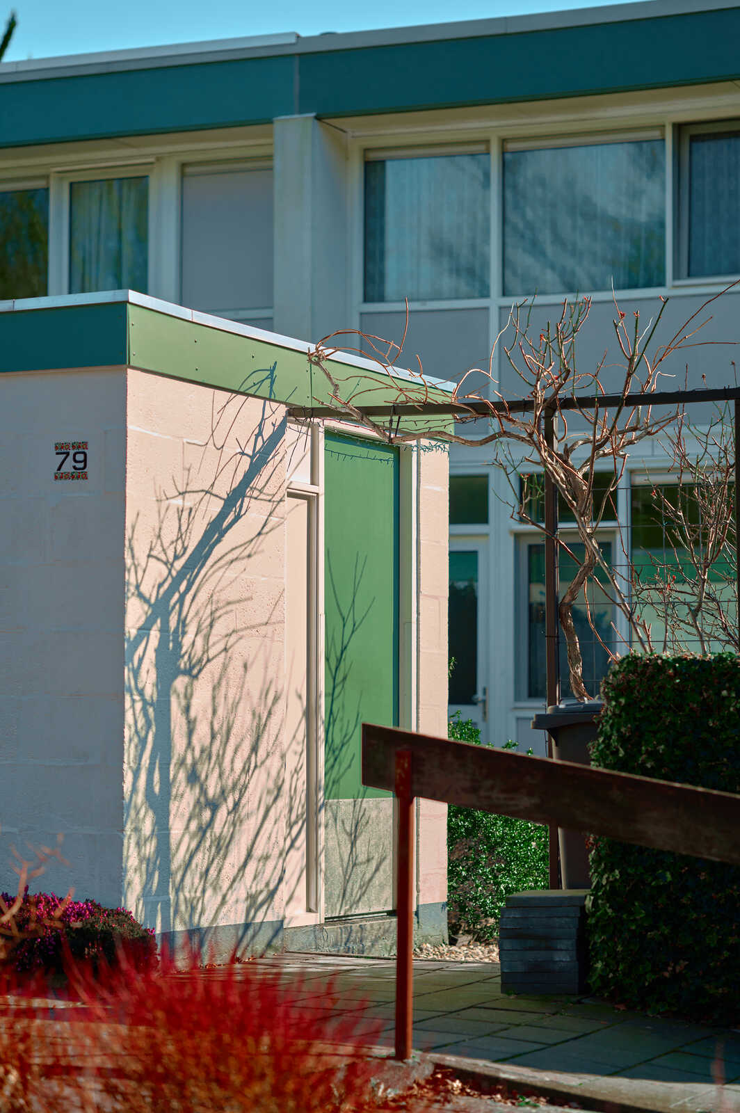 Pink textured wall and a green door are visible. A brown lattice structure with bare branches extends over the doorway. A stone path and railing are in the foreground. Shadows are cast on the wall.