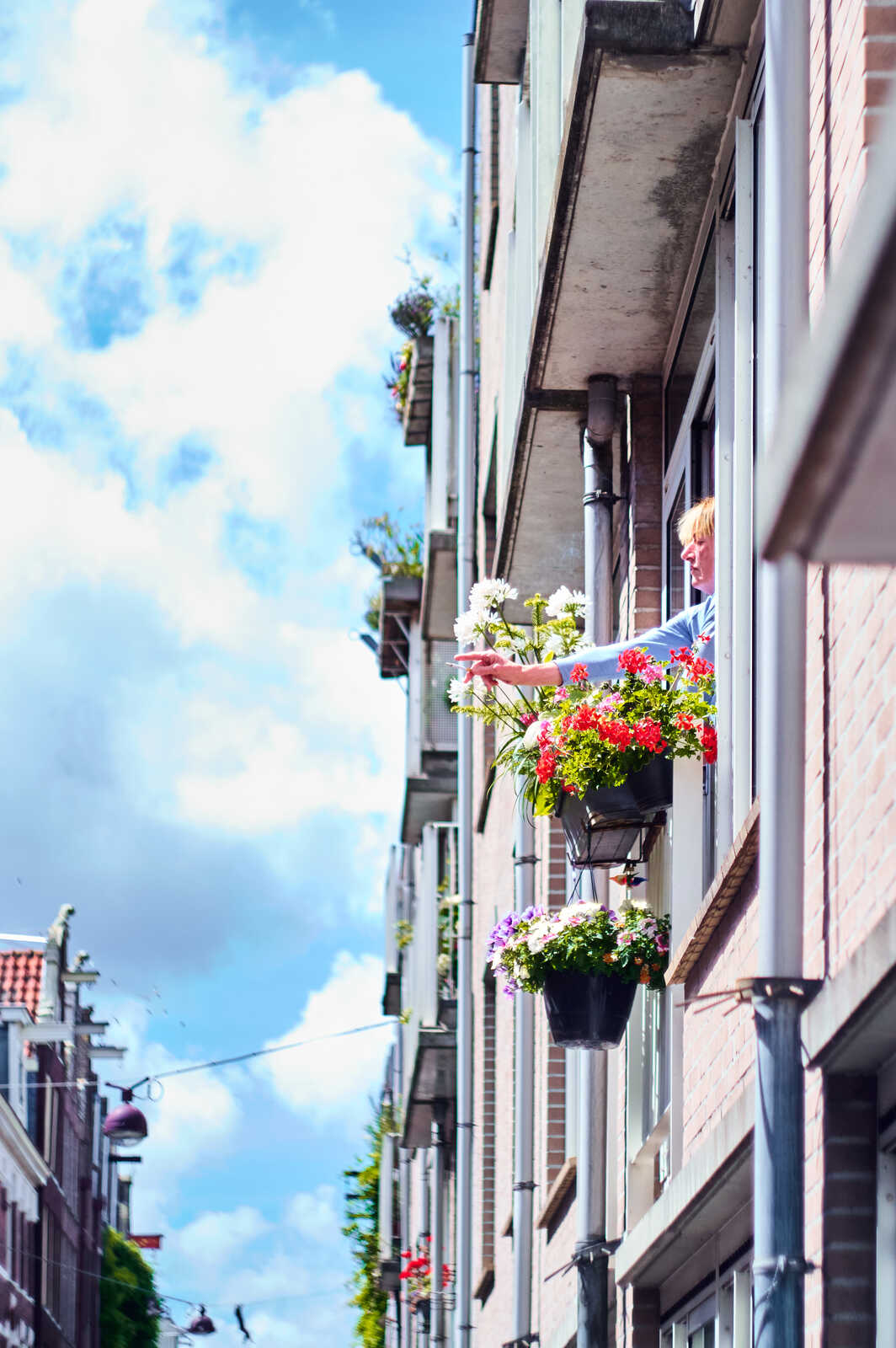 A person in a blue shirt stands at a window with flower boxes. Brick buildings flank the street, with a bright sky above. A pipe runs down the building’s exterior.