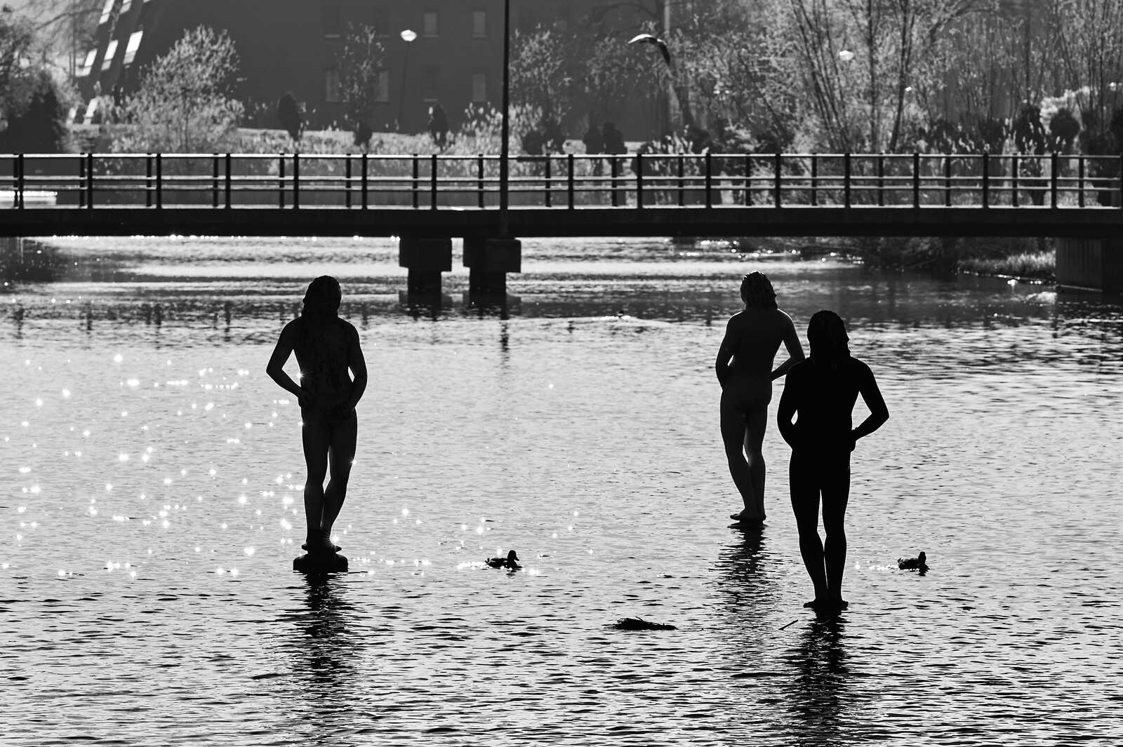 Three dark figures stand in shallow water, facing away. A bridge and trees are visible in the background, reflected in the rippling water. Several dark shapes float on the surface.