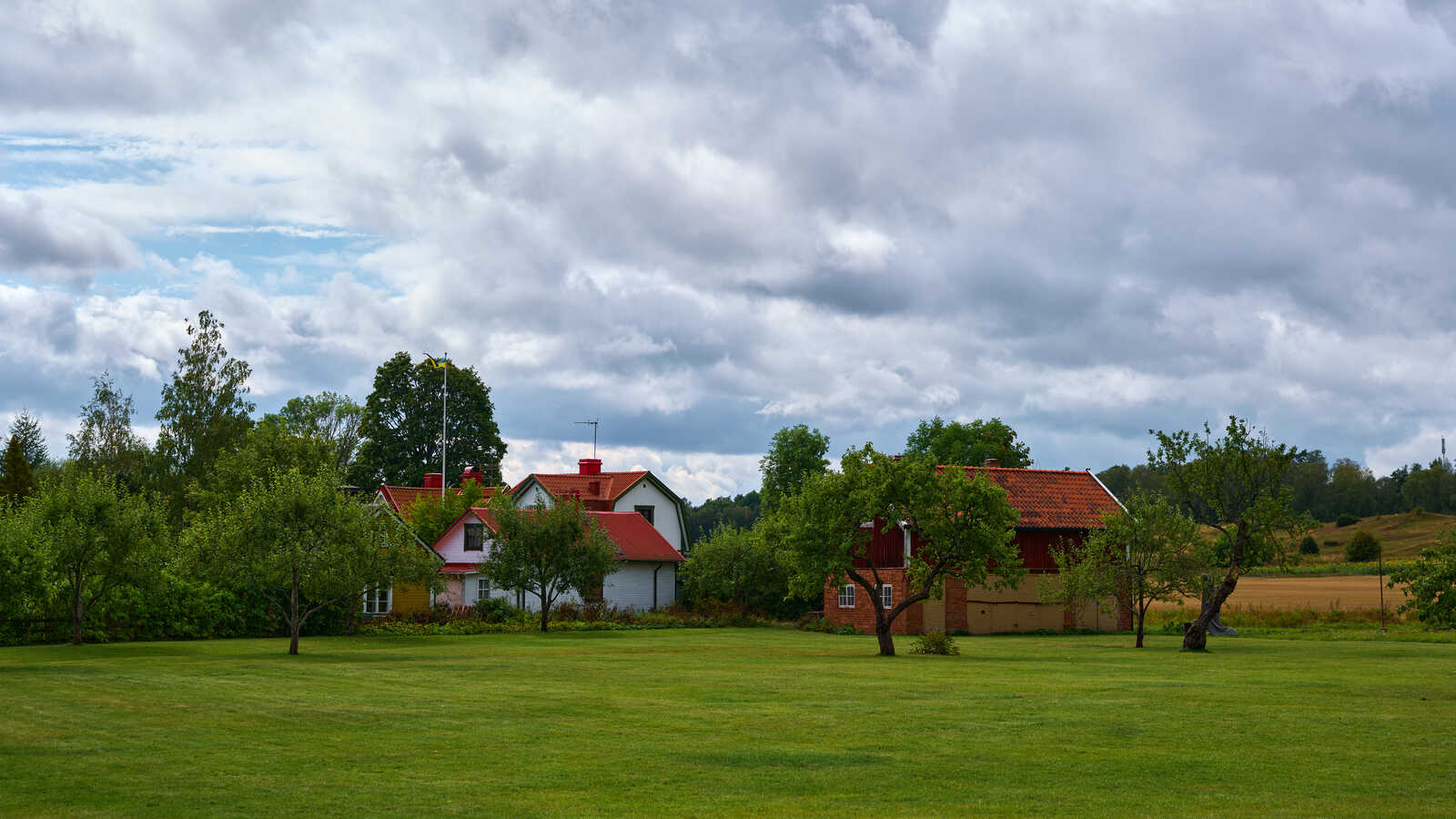 Rolling green fields meet two distinct houses — one red, one white — amidst a sky filled with textured, gray clouds. A few trees dot the landscape, and a road runs along the horizon.