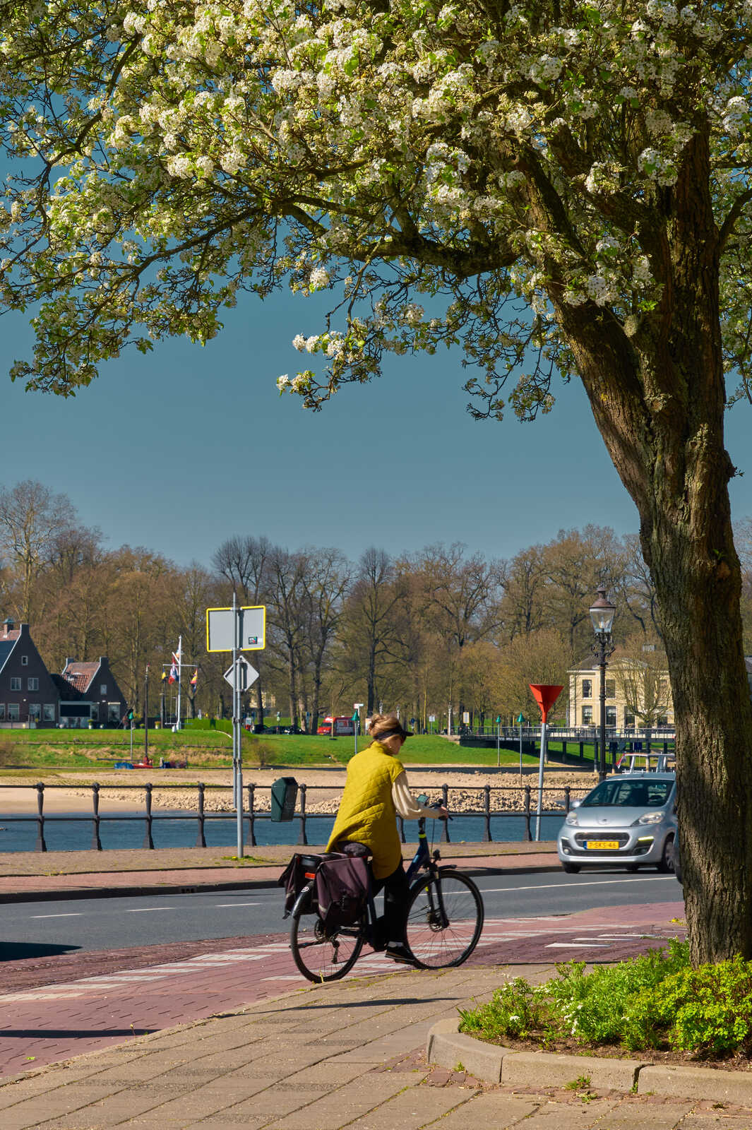 A person in a yellow jacket cycles on a brick path beside a body of water. A tree with white flowers is visible, alongside a parked car and street lamp. Blue sky overhead. Road signs are present.