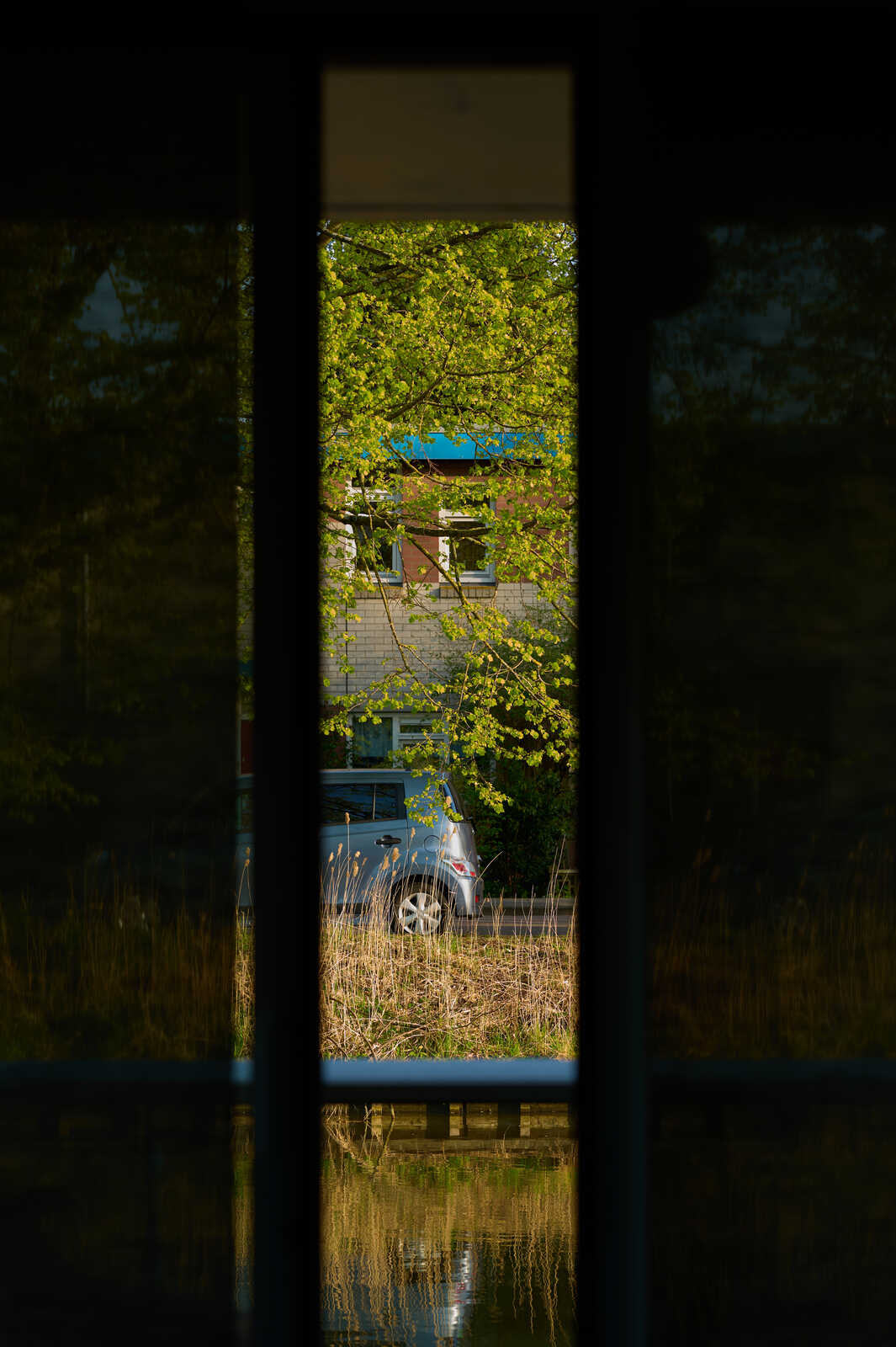 A silver car sits on a driveway in front of a house with blue siding. Lush green foliage frames the scene, reflected in still water below. A wooden fence is visible.