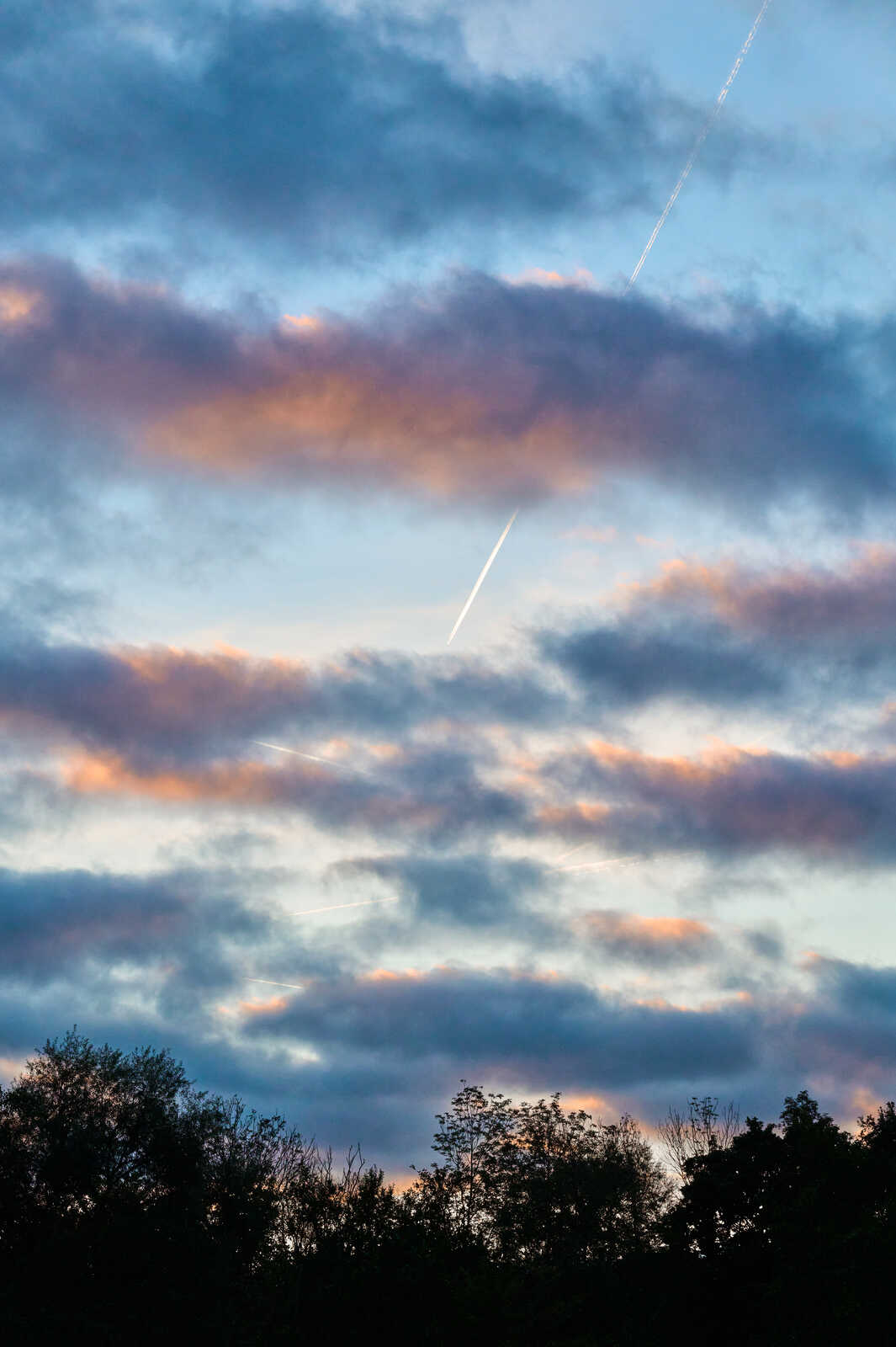 Dark trees silhouette against a pale blue and pink twilight sky. Several contrails streak across the clouds. The sky is mostly covered by grey-blue clouds.