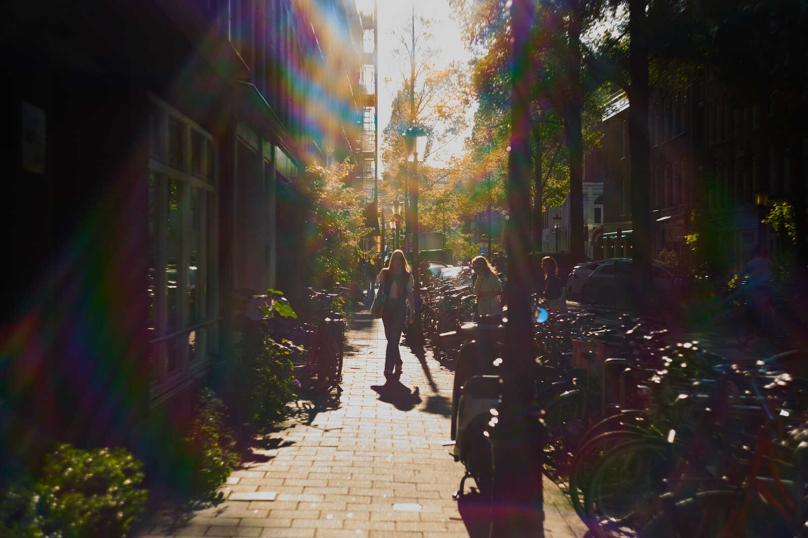 A cobblestone street with parked bicycles. Two people walk away from the camera under warm sunlight and tree foliage. Light flares and shadows are prominent. Buildings line the street.
