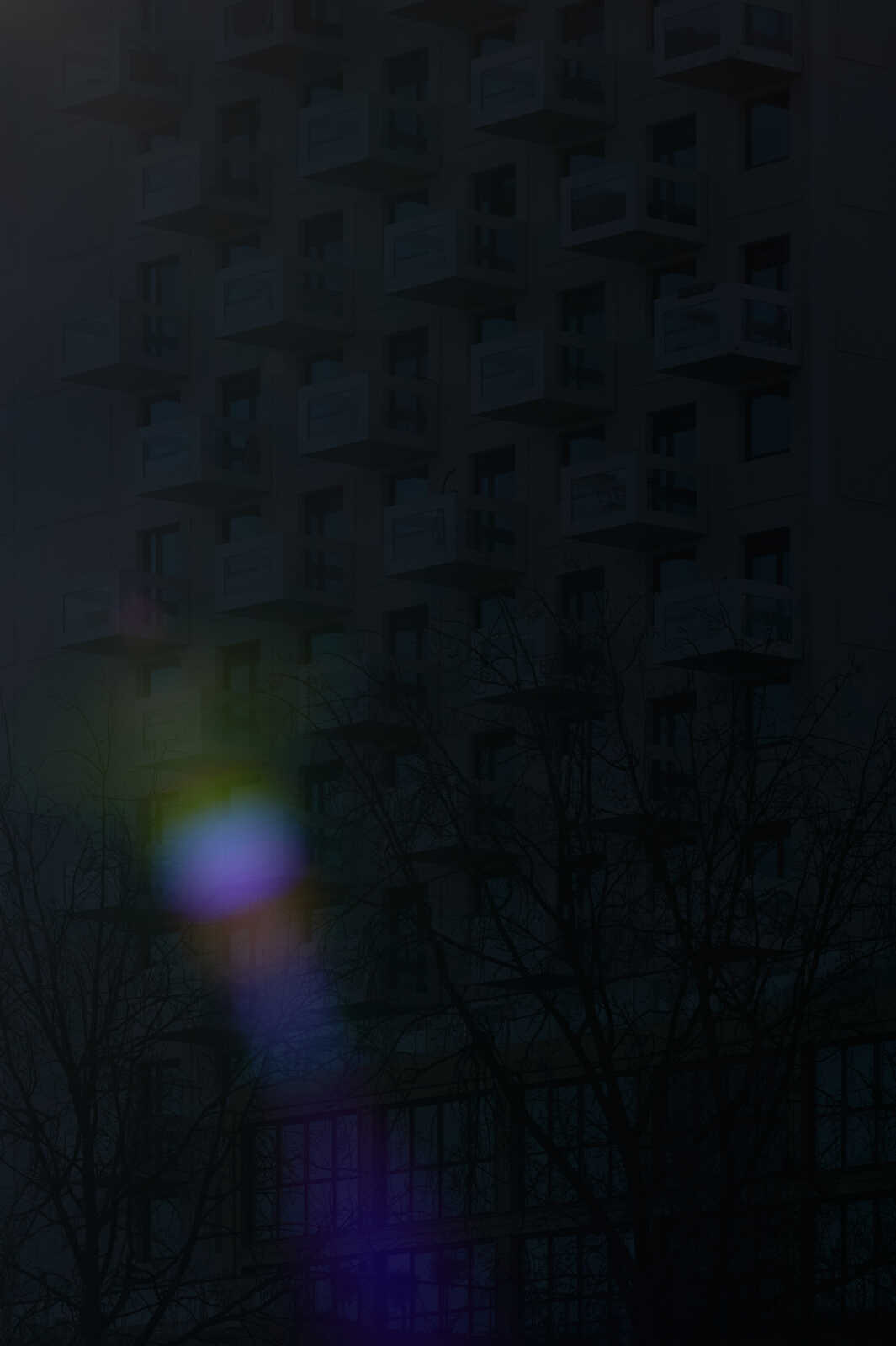 Dark, high-rise building with numerous windows. Sparse, dark tree branches in the foreground. A bright, colorful lens flare is visible on the upper left. Black sky fills the background.