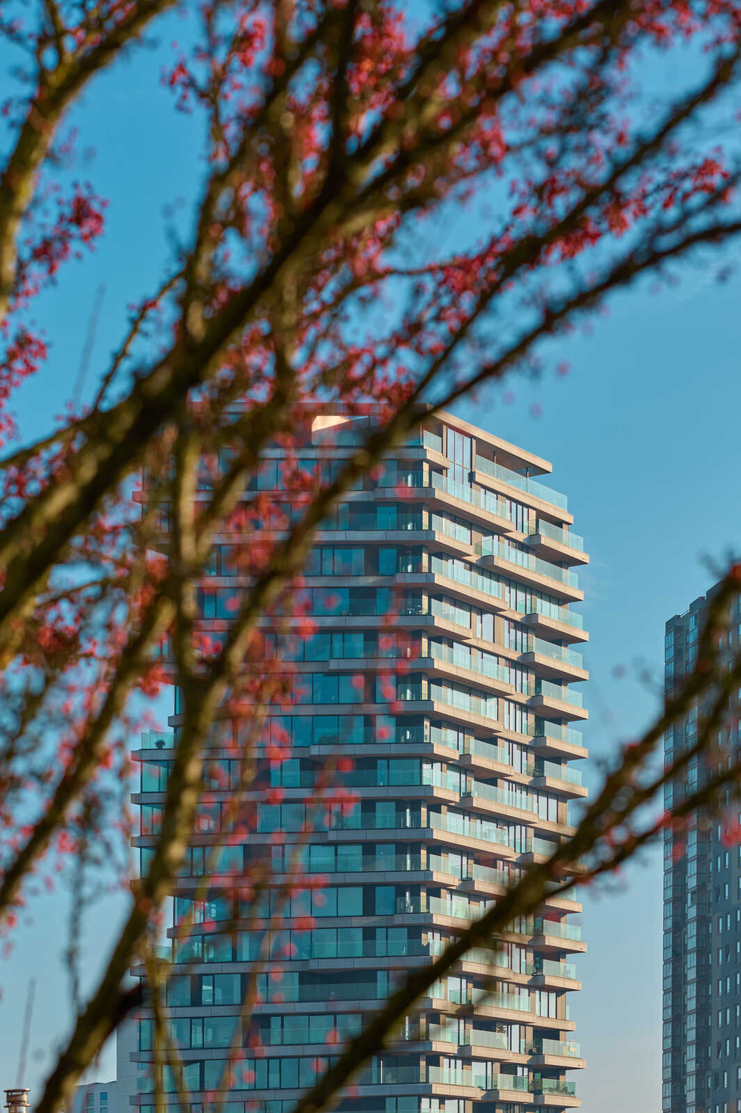 A tall, modern building with a stepped, terraced design. Many windows reflect the blue sky. Tree branches with red blossoms partially obscure the view. Blue sky background.