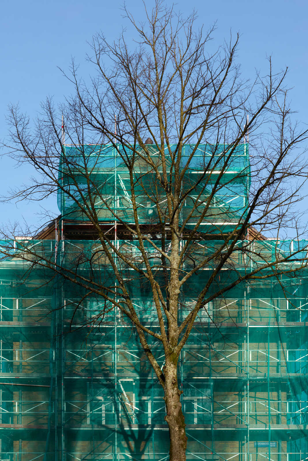 A leafless tree stands before a building wrapped in green protective netting. The sky is a clear blue. A small section of roof is visible. The tree's branches reach upward.
