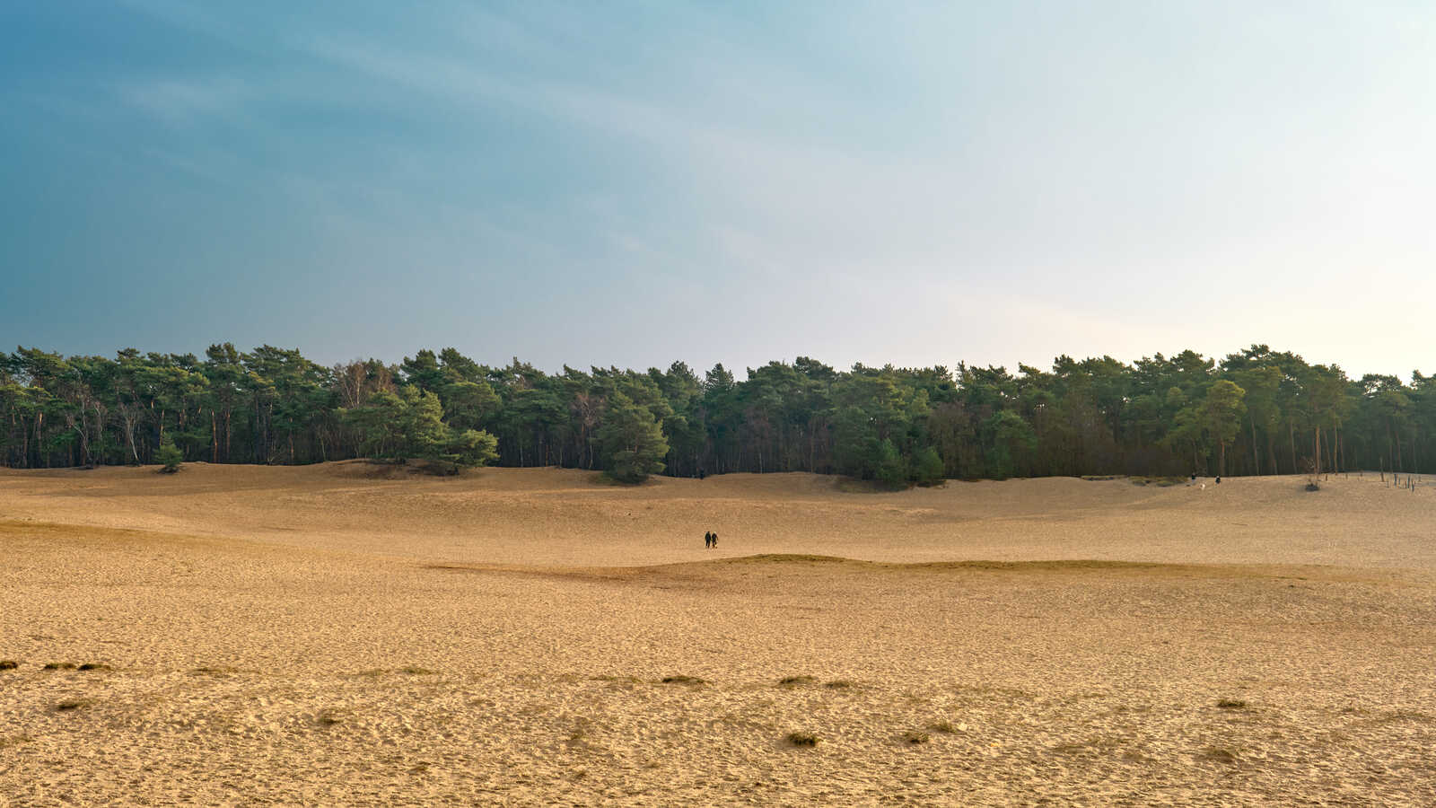 Sandy dunes stretch to a line of dense green trees under a bright, overcast sky. Two figures are visible on the dunes.