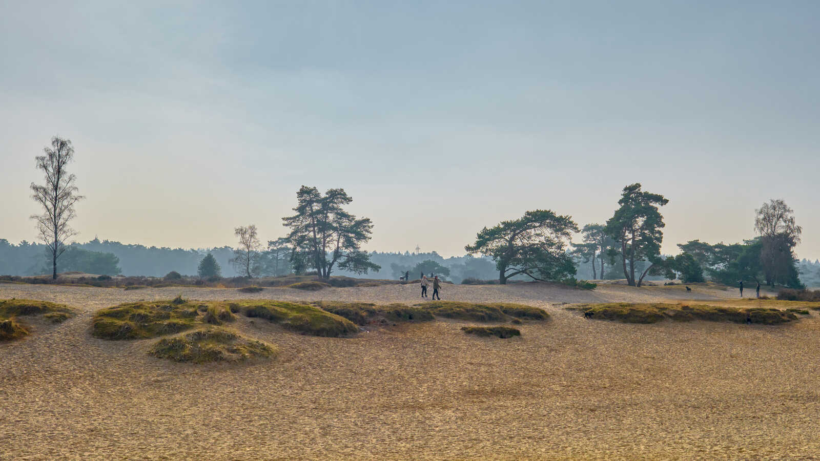 Sandy dunes with sparse vegetation and a few coniferous trees. Three figures are walking across the sandy terrain under a hazy sky.