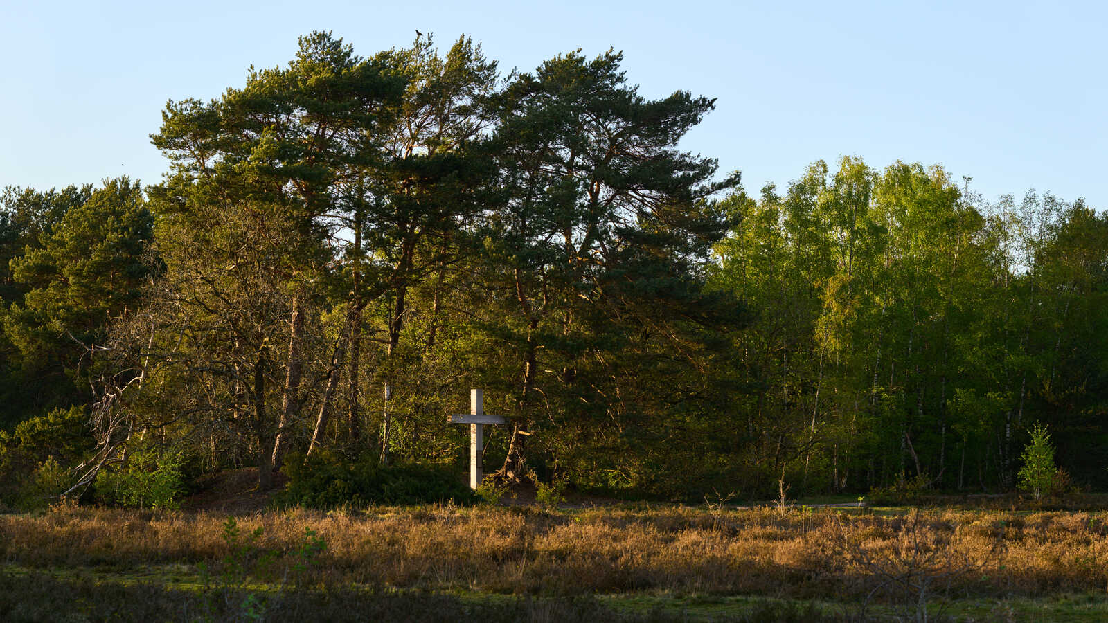 A wooden cross stands in a field with sparse, dried grass. Dense green trees fill the background, with a clear blue sky above. A small hill is visible to the left.