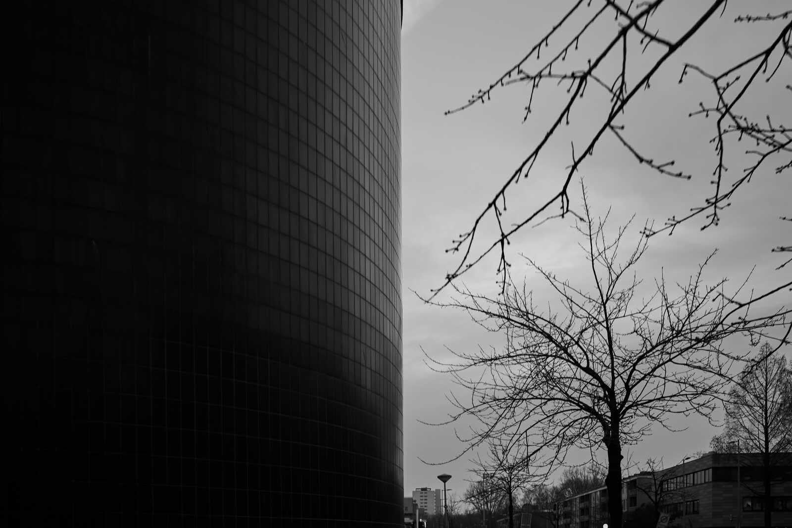A tall, modern building with a grid-like facade dominates the left. A bare tree with intricate branches extends from the right, against a cloudy sky and distant buildings.