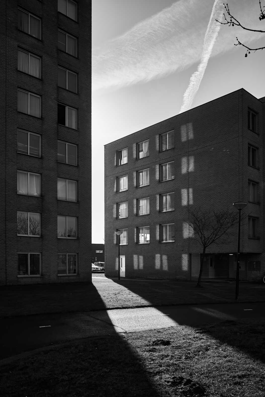 A tall, blocky building with many windows is positioned on the right. A long shadow stretches across a grassy area and pavement to the left. A streetlight stands nearby. A car is visible.