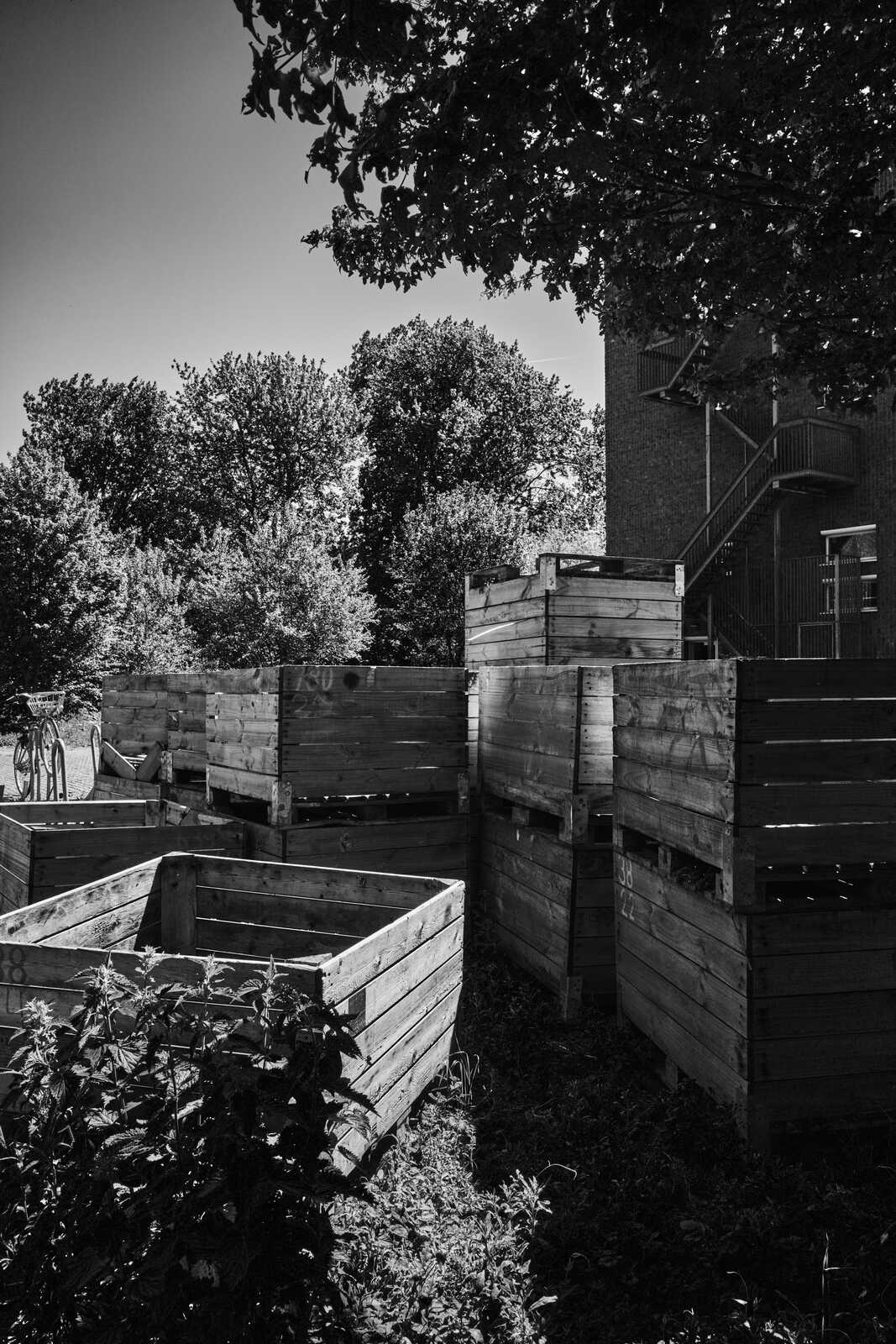 Wooden boxes, likely planters, stand in a row. A section of building and foliage are visible in the background. A bicycle wheel rests near the left edge.
