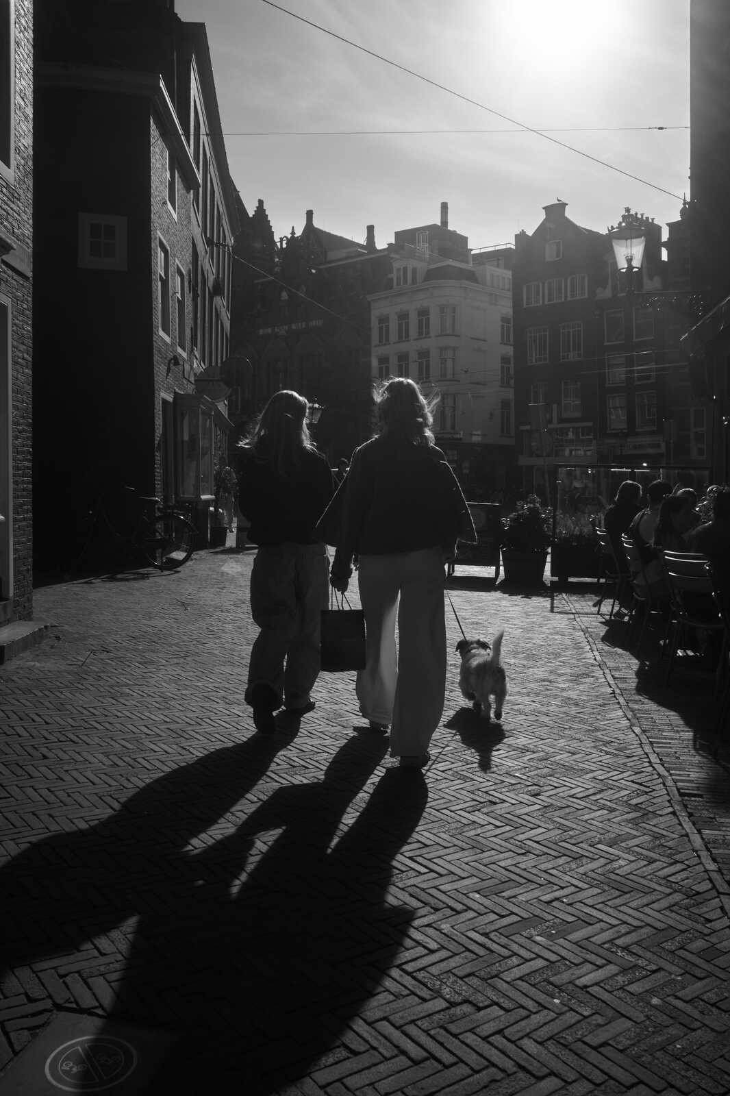 Two people and a small dog walk on a brick street. They cast long shadows in the bright sunlight. Buildings are visible on either side. Some outdoor seating is present.