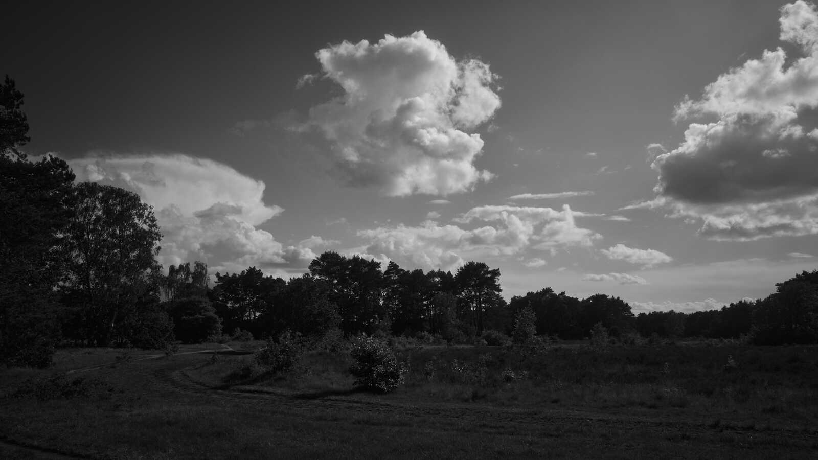 Black and white landscape featuring a cloudy sky over trees and open field with dark shadows.