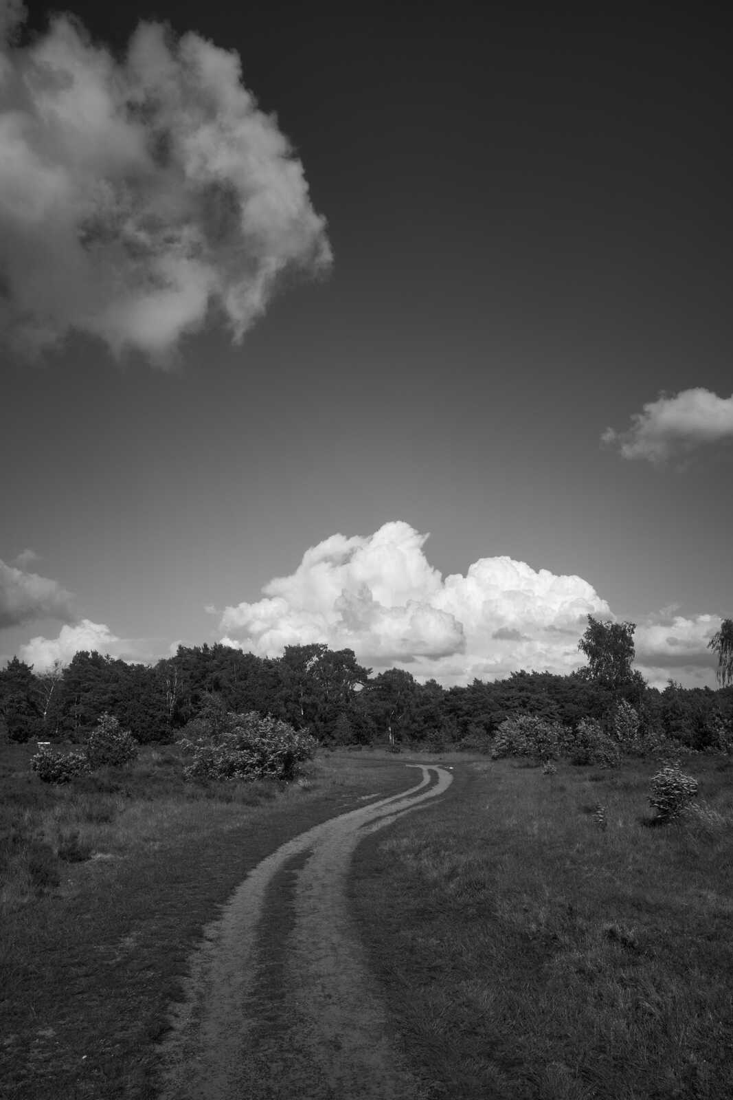 Black and white photo of a dirt path winding through grass and trees under a cloudy sky.